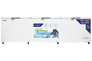 Tủ đông dung tích lớn Hòa Phát 1 ngăn 3 cánh HPF AD61190