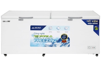 Tủ đông dung tích lớn Hòa Phát 1 ngăn 2 cánh HPF AD6783