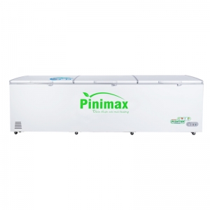 Tủ đông Pinimax PNM119AF3
